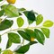 5FT Artificial Lemon Tree Tall Faux Lemon Tree 5 Feet(60in) Fake Lemon Tree Faux Plants with Realistic Trunk and Lifelike Leaves and Fruits for Home Office Decor